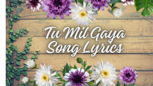 Tu Mil Gaya Song Lyrics