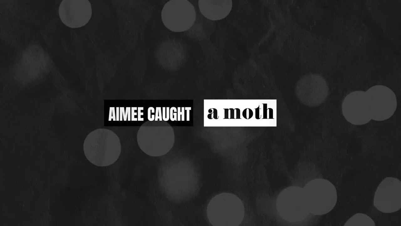 Aimee Caught A Moth song Lyrics