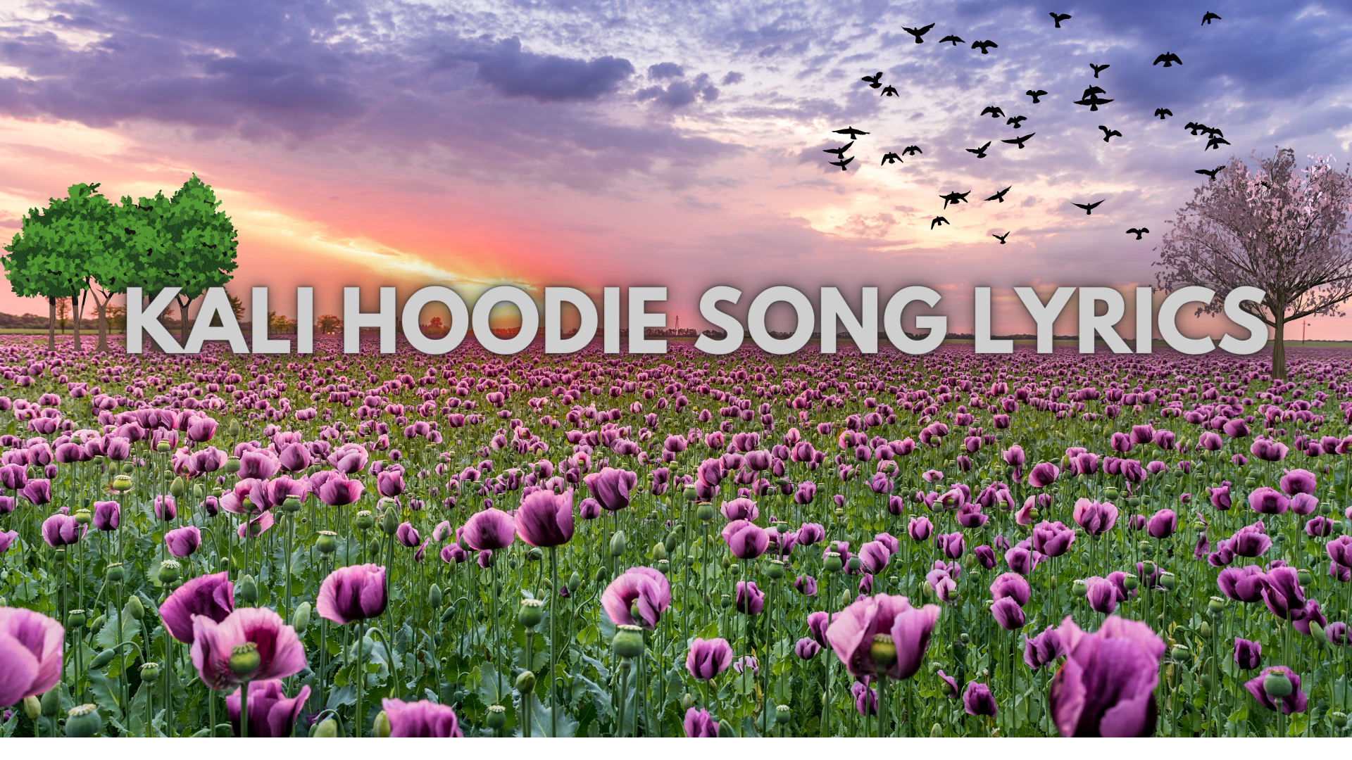 Kali Hoodie Song Lyrics