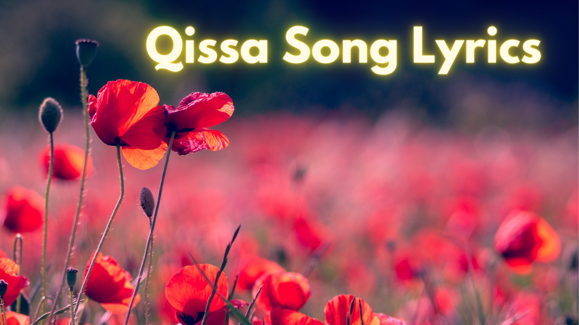 Qissa Song Lyrics